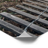 Poster Imprimer Ocean City Beach (Coin)