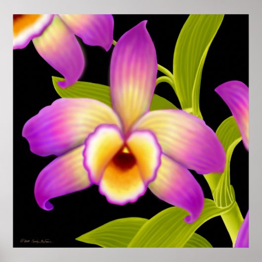 Poster Imprimer orchidée de Dendrobium Nobile (Devant)