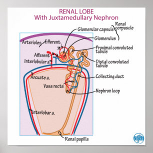 Poster Imprimer, Papier d'affichage de valeur (Matte)