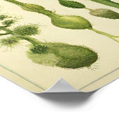 Poster Imprimer, Papier d'affiche de valeur (Matte) (Coin)