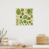 Poster Imprimer, Papier d'affiche de valeur (Matte) (Cuisine)