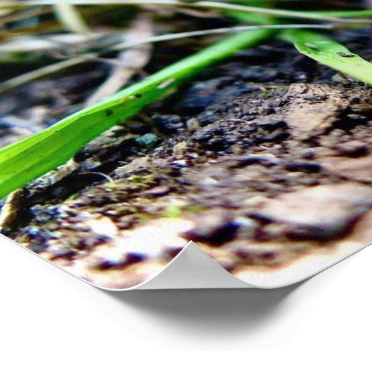 Poster Imprimer, Papier d'affiche de valeur (Matte) (Coin)