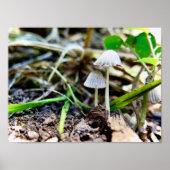 Poster Imprimer, Papier d'affiche de valeur (Matte) (Devant)