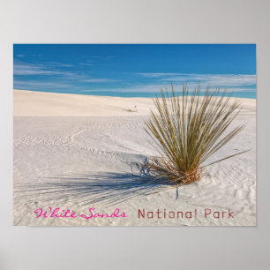 Poster Imprimer, Papier d'affiche de valeur (Matte)