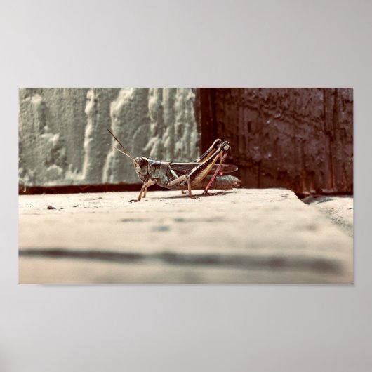 Poster Imprimer, Papier d'affiche de valeur (Matte) (Devant)