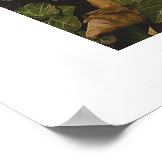 Poster Imprimer, Papier d'affiche de valeur (Matte) (Coin)