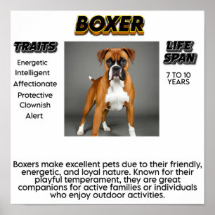 Poster Imprimer, Papier d'affiche de valeur (Matte)