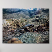 Poster Imprimer, Papier d'affiche de valeur (Matte) (Devant)