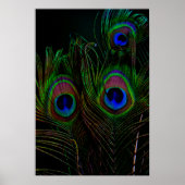 Poster Imprimer, Papier d'affiche de valeur (Matte) (Devant)