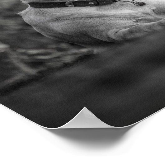 Poster Imprimer, Papier d'affiche de valeur (Matte) (Coin)