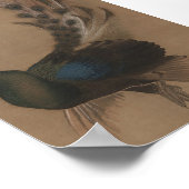 Poster Imprimer Peacock d'Asie vintage (Coin)