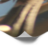 Poster Imprimer photo d'oiseau de Finple (Coin)