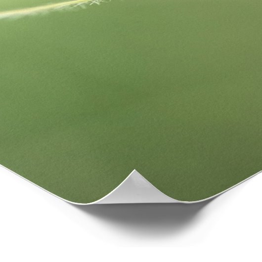 Poster Imprimer : Plume Apache (Coin)