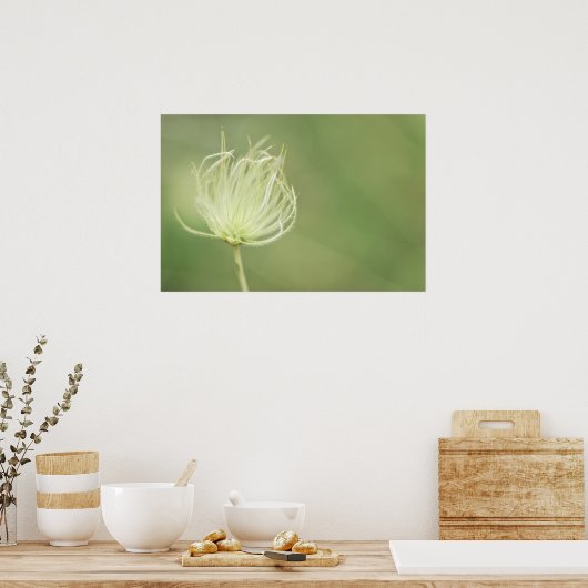 Poster Imprimer : Plume Apache (Cuisine)