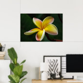 Poster Imprimer : Plumeria #3 (Bureau à domicile)