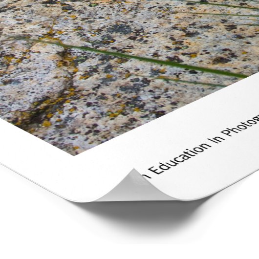 Poster Imprimer Potpourri (Coin)