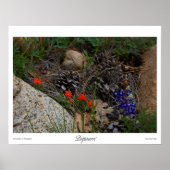 Poster Imprimer Potpourri (Devant)