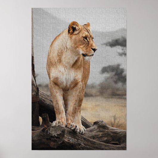 Poster Imprimer Royal Lioness (Devant)