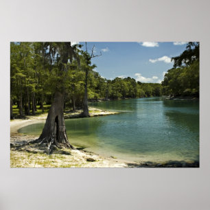 Poster Imprimer Suwannee River Beach