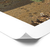 POSTER IMPRIMER T-REX (Coin)