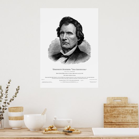 Poster Imprimer Thaddeus Stevens (Cuisine)