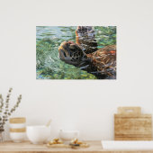 Poster Imprimer : Tortue verte (Cuisine)