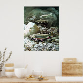 Poster Imprimer truite broyée (Cuisine)