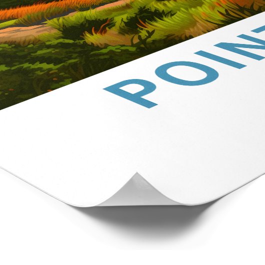 Poster Imprimer voyage de Point Reyes Californie (Coin)