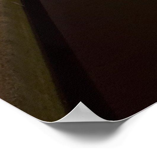 Poster Imprimer Washington Monument (Coin)