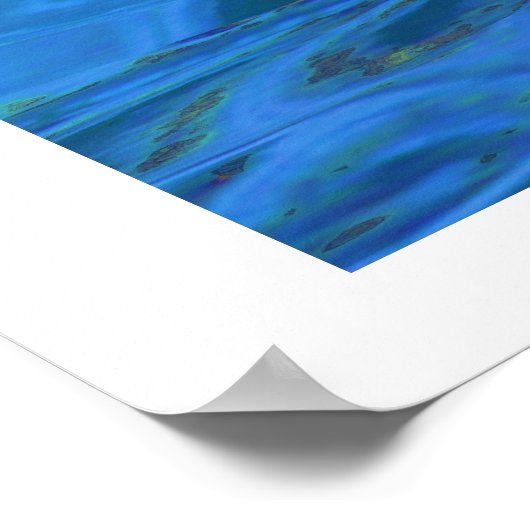 POSTER IMPRIMER WHALE WORLD (Coin)