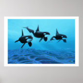 POSTER IMPRIMER WHALE WORLD (Devant)