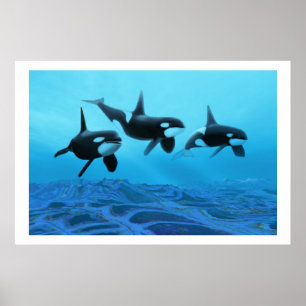 POSTER IMPRIMER WHALE WORLD