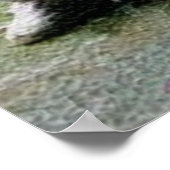 Poster Imprimer Wu Dang T'ai Ji (Coin)