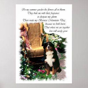 Poster Imprimerie Bernese Mountain Dog