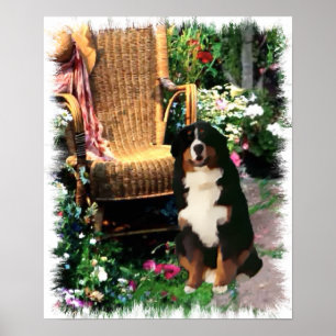 Poster Imprimerie Bernese Mountain Dog