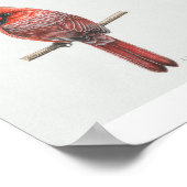 Poster Imprimerie Cardinal du Nord (Coin)