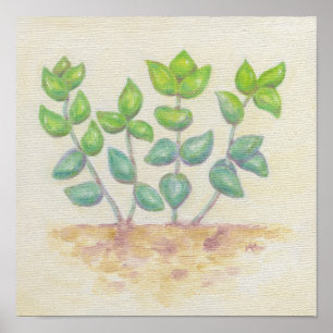 Poster Imprimerie d'art Crassula