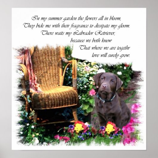 Poster Imprimerie d'art Labrador Retriever (Devant)