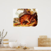 Poster Imprimerie de bobats du 19e siècle (Cuisine)