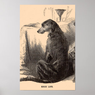 Poster Imprimerie de chien du 19e siècle High Life