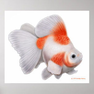 Poster Imprimerie japonaise Ryukin Fantail Goldfish