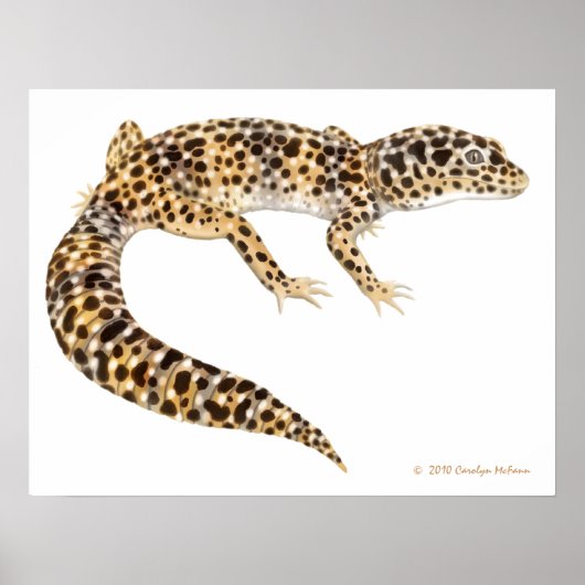 Poster Imprimerie Leopard Gecko (Devant)