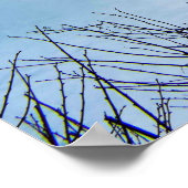 Poster Imprimerie Niagara Falls (Coin)