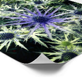 Poster Imprimerie Scottish Thistle Art (Coin)
