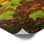 Poster Imprimerie Woodland (Coin)