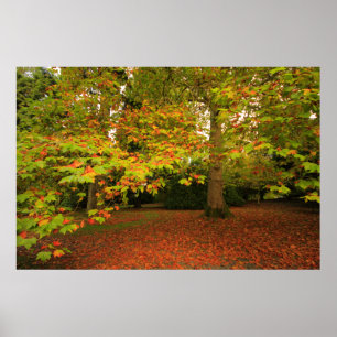 Poster Imprimerie Woodland