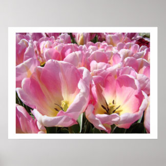 Poster Imprimés d'art de jardin de fleurs de tulipes ROSE