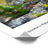 Poster Imprimés Mansanita (Coin)