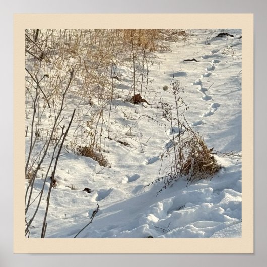 Poster Imprimés sur l'affiche de neige (Devant)