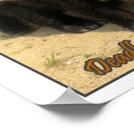 Poster Imprimez Deadel, Insane, Ferocious Honey Badger (Coin)